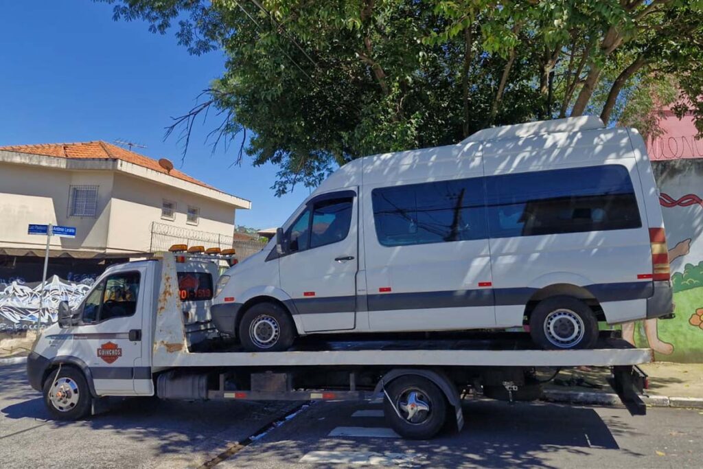 Lobinho Guinchos 26 006